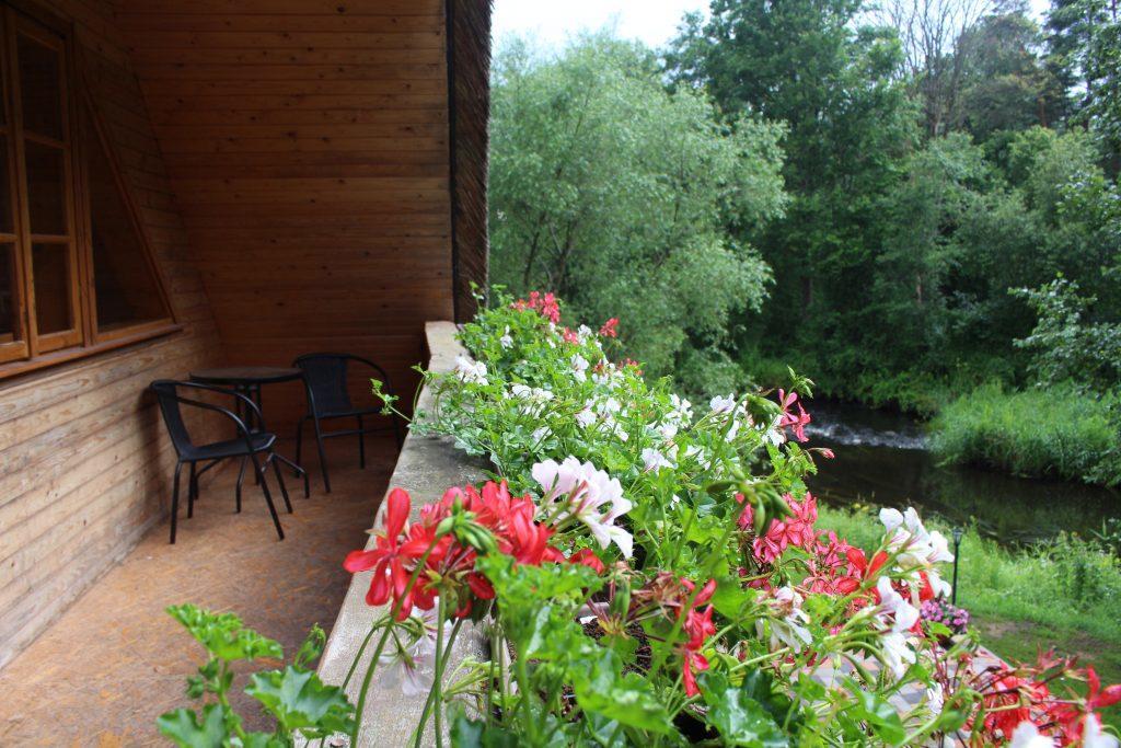 Hotel Viesu Nams Barzi à Tinuzi Extérieur photo